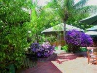 Tobago Toucan Inn المظهر الخارجي الصورة